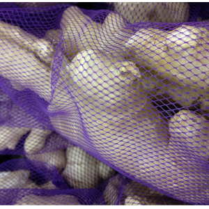 Fresh Ginger Root - 1lb