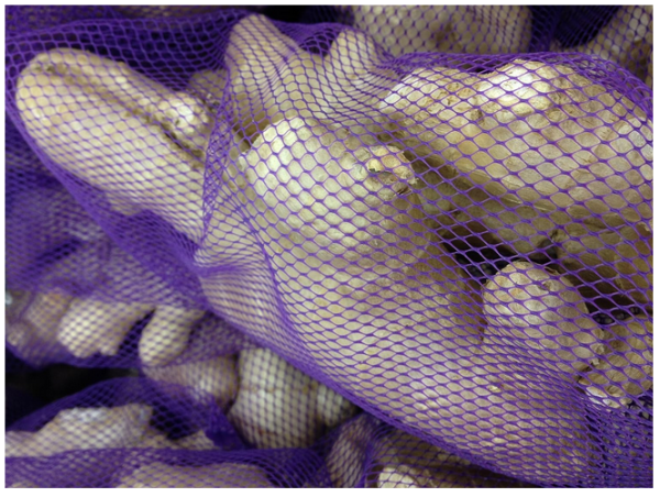 Fresh Ginger Root - 1lb